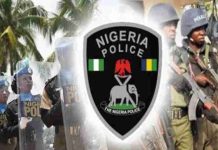 Man who eats, sells human parts in Zamfara lands in police net