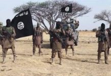 Non custodial sentence: Repentant B’Haram members to sweep Maiduguri metropolis