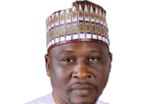 Gov Fintiri of Adamawa State.