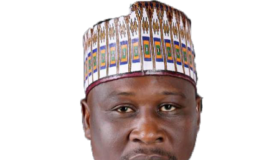 Gov Fintiri of Adamawa State.