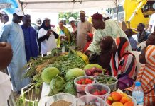 FAO supports 42,400 farmers in N/East