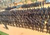 2023: Adamawa CP read riot act to political thugs, promises them though times