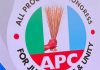 APC flag