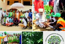 Some of GESOL activities in pictures
