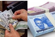 Naira/Dollar