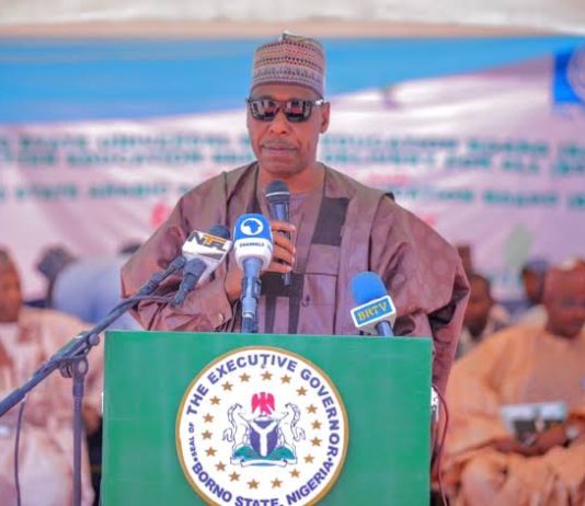 Gov Zulum.