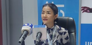 UNICEF North East Chief of Field Office Phuong Nguyen at a media briefing to commemorate World Breastfeeding Week in Maiduguri.