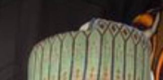 Sen Abubakar Girei.
