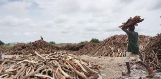 Firewood for cooking.