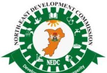 NEDC LOGO.