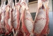 Donated meat.