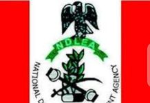 NDLEA emblem.