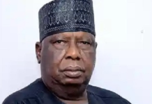 Argungu