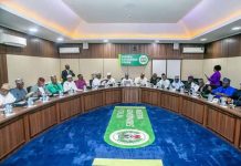 Nigerian Governors.