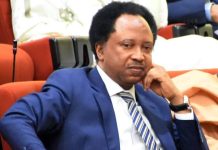 Shehu Sani.