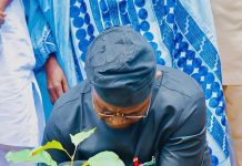 Sen. Yaroe during the tree planting campaign in Michika.