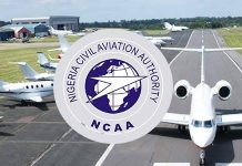 NCAA logo