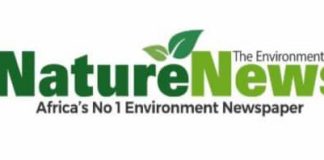 Nature News Logo.