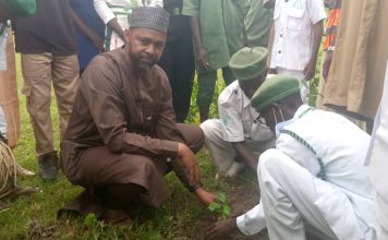 Medical Director FMC Birnin Kudu Dr. Adamu Abdullahi Atterwahmie planting a tree during the Flagg off of mass tree planting at the new site of the facility in B/kudu on Tuesday.