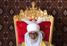 Dujima Adamawa.