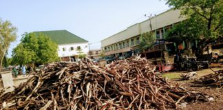 A firewood depot at Yola bypass near Yolde Pate junction.