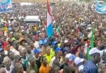 Mammoth crowd of supporters during the grand finale of APC rally at Gangwari square, Ganye on Thursday.