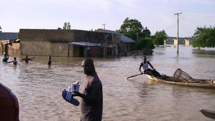 Flooded environment.