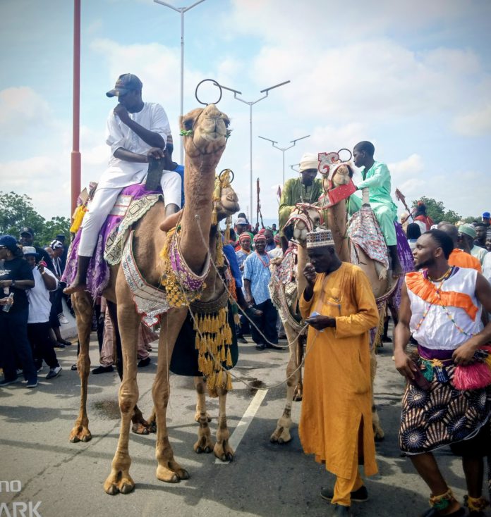 Camel riders on display during the event.
