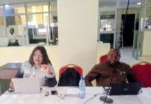Prof Ada delivering her presentation during the training in Yola on Thursday.