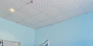 The ultrasound session.