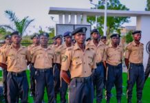 After killing of Aliero, 65 others Zamfara bandits plan reprisal on military, volunteer force