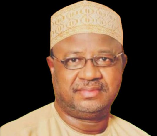 Flyovers without development: A critique of Fintiri’s justification for infrastructure Ardo.