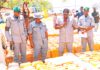 Operation whirlwind targets five smuggling corridors, seizes 38,700 litres of petrol in zone D – Nat’l coordinator National coordinator of operation whirlwind, inspecting seized PMS at Customs house Yola on Wednesday.